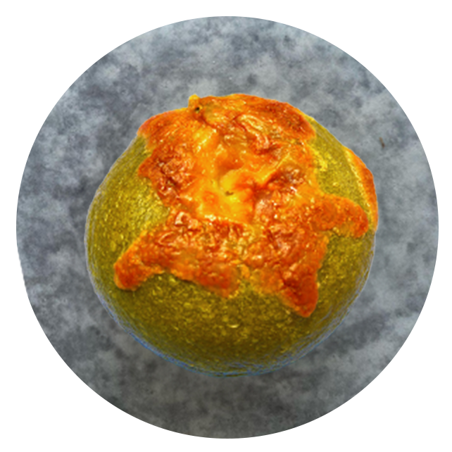 ほうれん草クリーミーベーコン