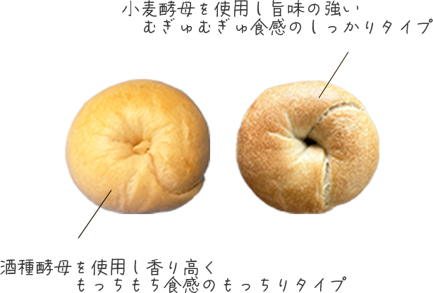 ２種類のベーグルの紹介